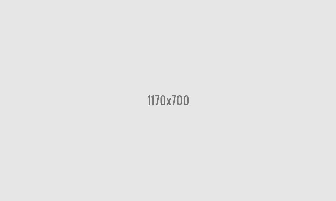Blog Fifth